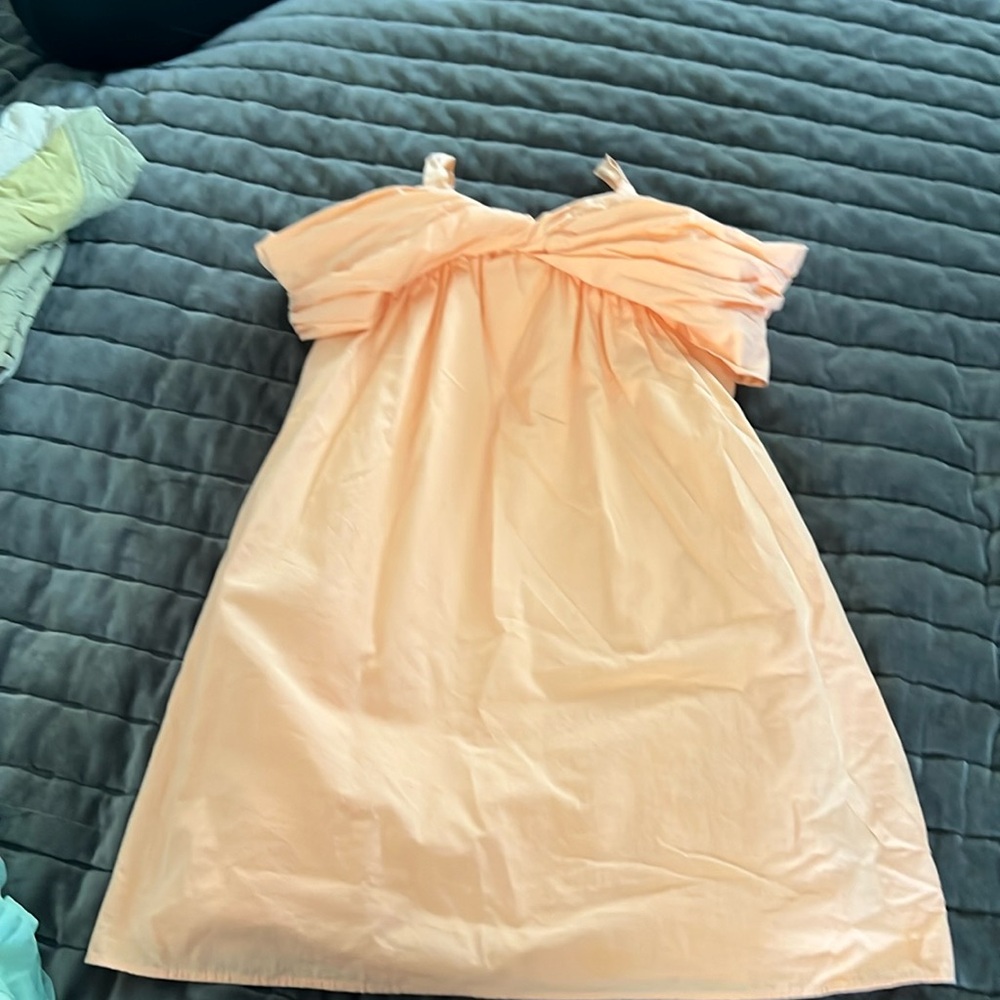 Zara dress
